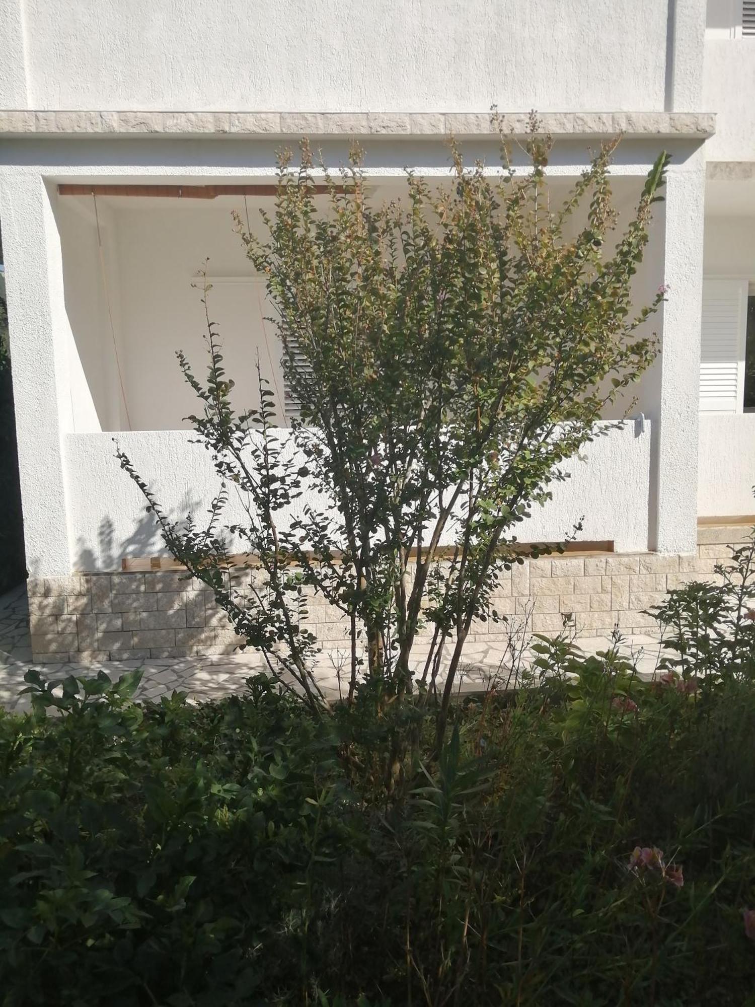 Apartment راب المظهر الخارجي الصورة